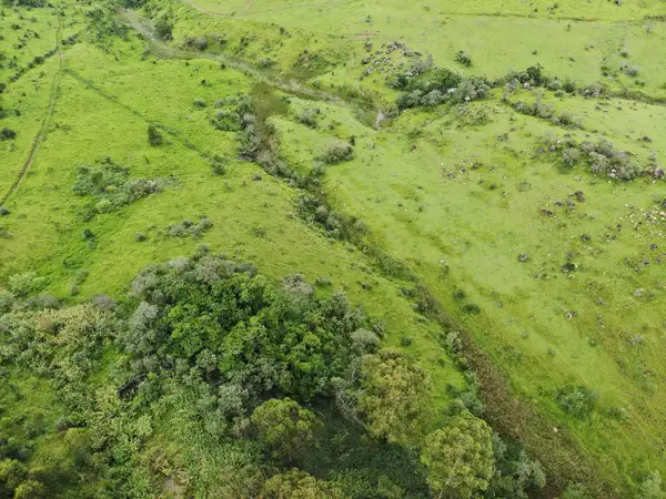 Imagem aérea de paisagem no bioma mata atlântica retratando pastagem degradada, córrego e pequeno fragmento florestal nativo